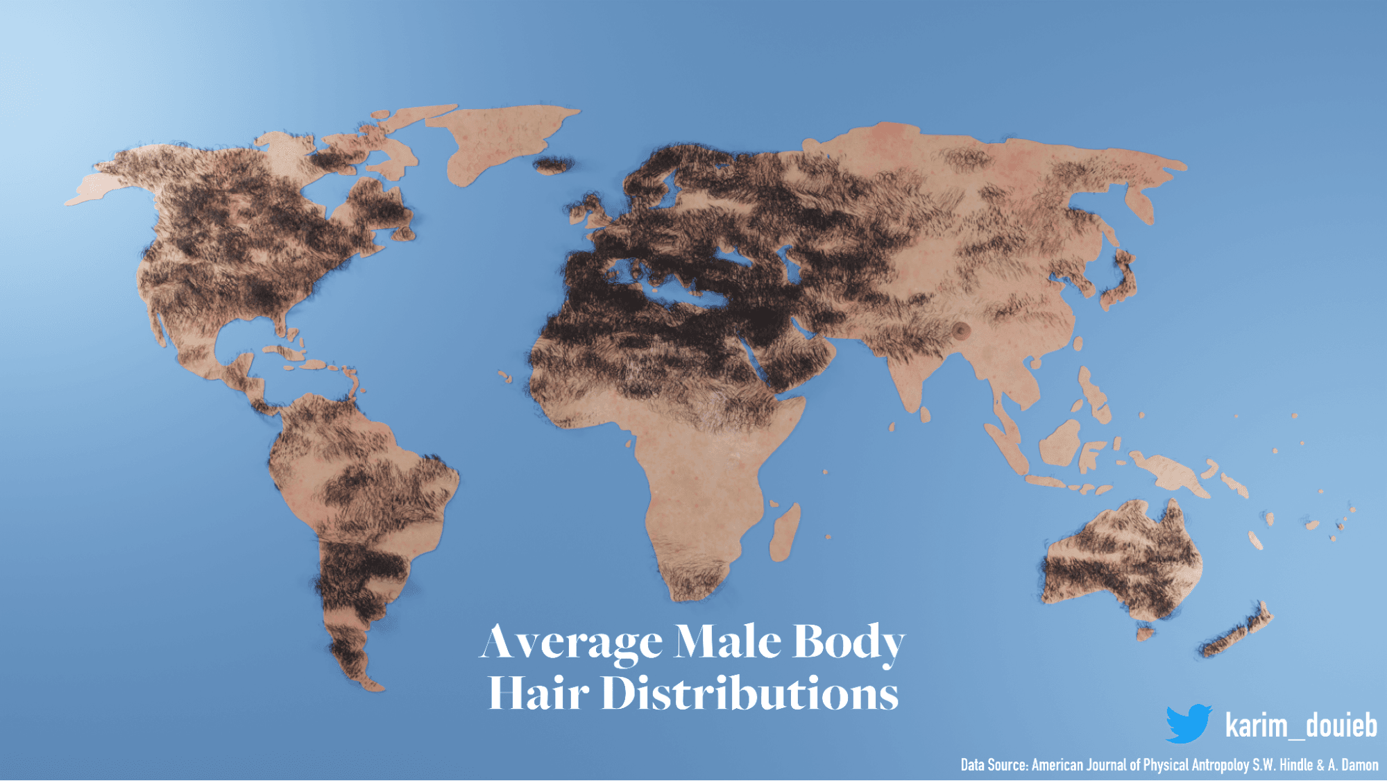 karim douieb body hair distribution visualization