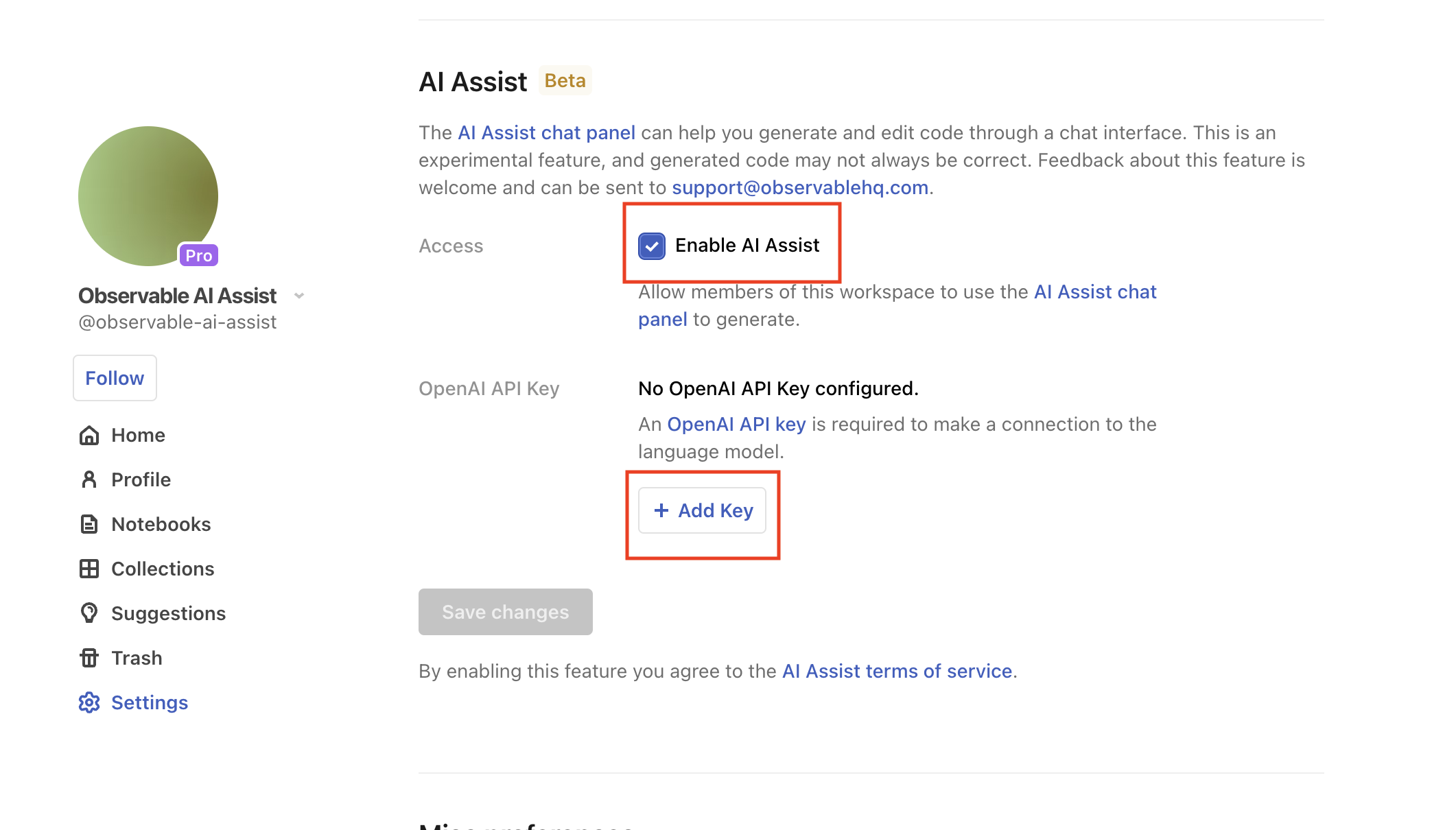 A screenshot of the Settings page scrolled down to the AI Assist section and showing the Enable AI Assist option selected and highlighted with a red rectangle outline overlay around it and the option to add an API key which is also highlighted with a red rectangle overlay.