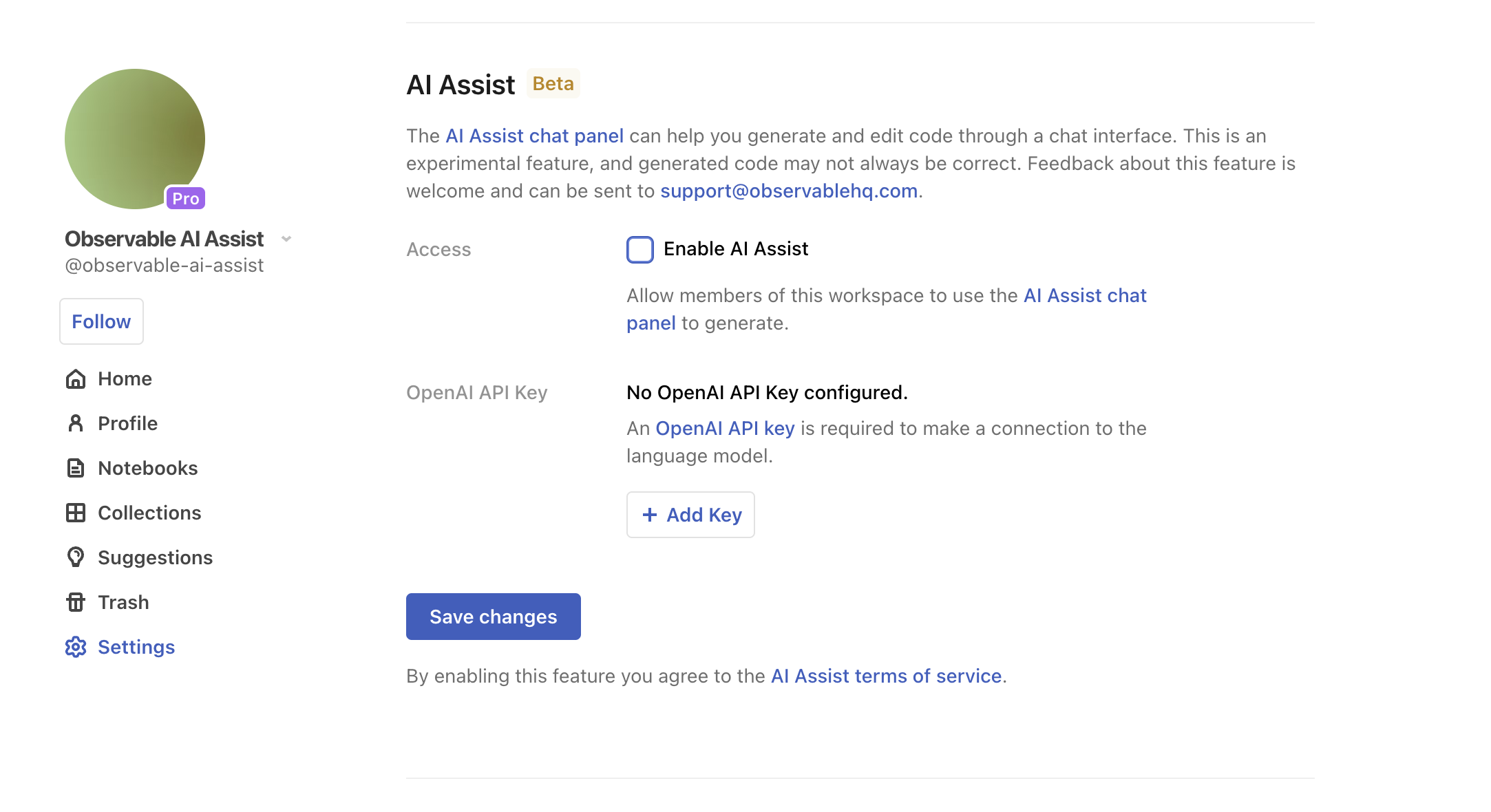A screenshot of the Settings page scrolled down to the AI Assist section and showing the configuration options available there.